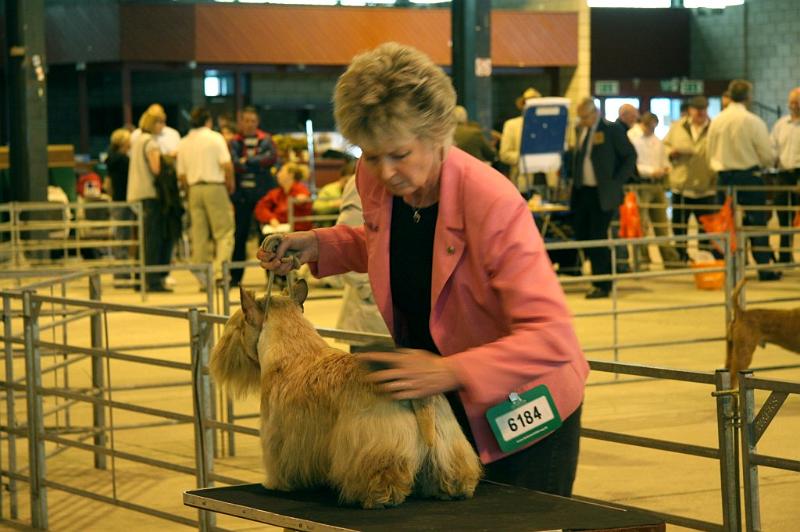 IMG_0814.jpg