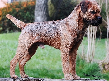 CH BRACKENFELL BOK TO BACH 