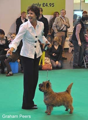 BOB Am Ch Zalazar Walk The Line