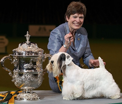  Margery Good joint owner and handler of Am/Can Ch Efbe&rsquo;s Hidalgo At Goodspice 