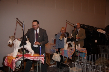 Professional Handler Andrew Westwood With Mother Vera And Chris Wiggins Looking On