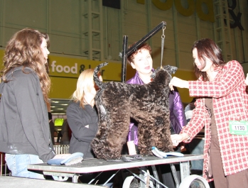 A Final Comb Through The Legs