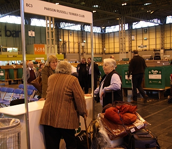 Parson Russell Breed Stand