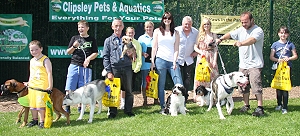 Most Handsome Dog Finalists