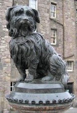 Greyfriars Bobby A Loyal Skye Terrier 