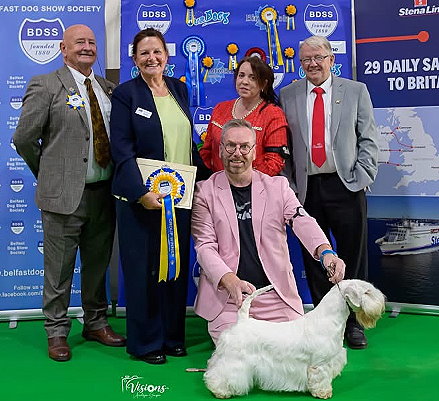 Group - 1st Place	492 - Ch/Ir Ch Thornberryhall U Can&rsquo;t Touch This Ir Jch, Breed: Sealyham Terrier (Mr A & Miss L & Mr K Daly & Waddell & Crockett)