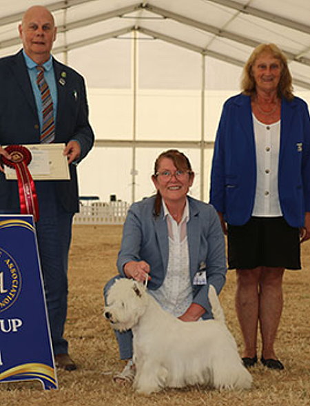 BURNS, Miss M - Burneze Lets Be Frank - WEST HIGHLAND WHITE TERRIER - Dog