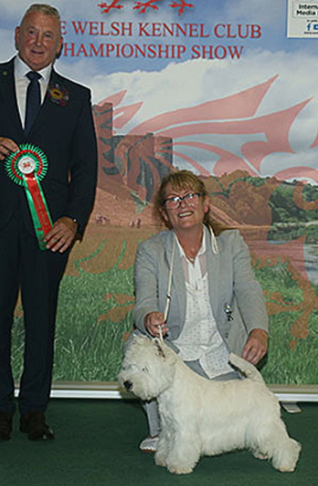 BEST : 1816 BURNS, Miss M - Ch Burneze Reach For The Stars - WEST HIGHLAND WHITE TERRIER - Dog