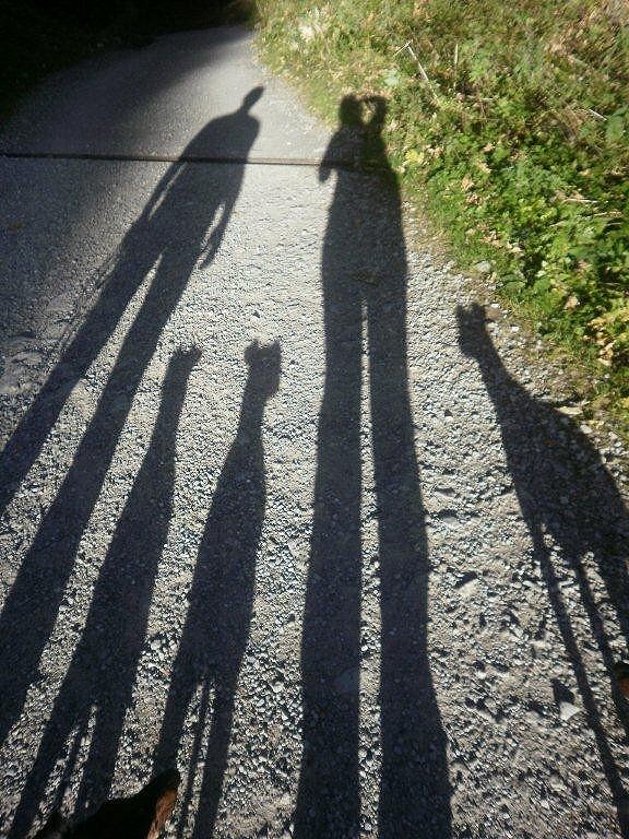 Judge's Critique: Too Long In The Leg?