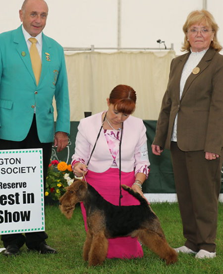 BEST : 2507 COLE, Ms Claire - Ch Perrisblu The Phantom - WELSH TERRIER - Dog