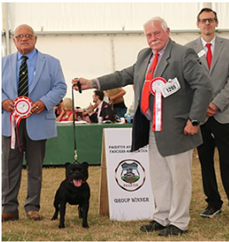 BEST : 1295 SHELDON, Miss Lara - Ch Kamaristaffs Royal Ransom At Bowtman Jw - STAFFORDSHIRE BULL TERRIER - Dog