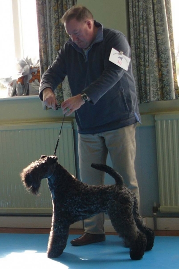 KENMILEVEN FIRST CLASS FOR KAMAGHAN