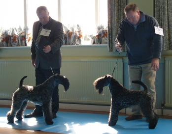 NAMAZ DE LA CADIERA AT CLANCIARRAI & KENMILEVEN FIRST CLASS FOR KAMAGHAN