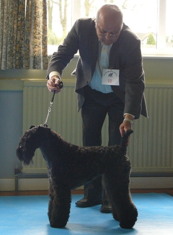 DOLLAGH RAZZLE DAZZLE EM