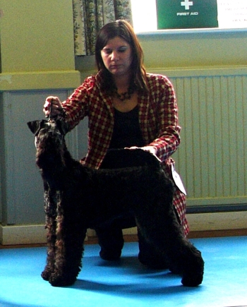 GRANEMORE MAXIMILLIAN AT KEBULAK